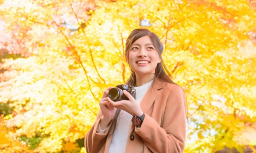 無料（フリー）の写真素材おすすめサイト！ 商用利用も可能