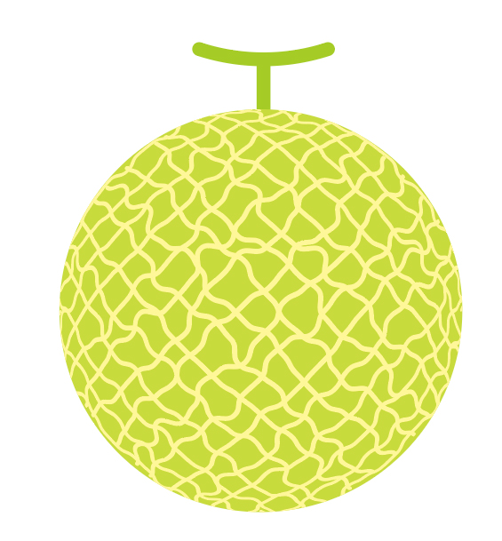 Illustration of melon