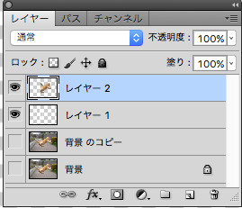 選択すると囲っていた部分を切り抜いたレイヤーができます。