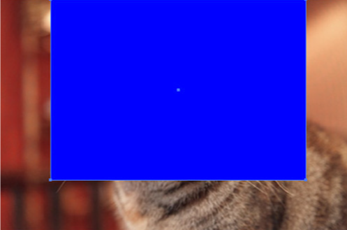 Image of a rectangular object on top of a picture of a cat