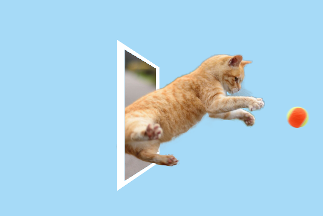 The jumping cat photo has been made more dynamic by this editing.