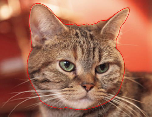 An image of a cat's face surrounded by a pen tool