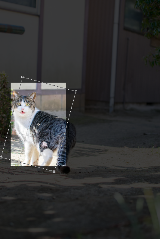 切り抜きツールは角度変更で切り抜くこともできます。