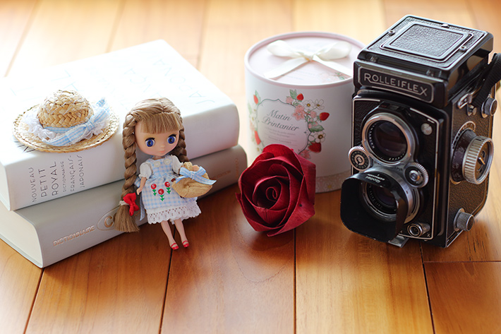 A doll, a book and a camera with natural lighting